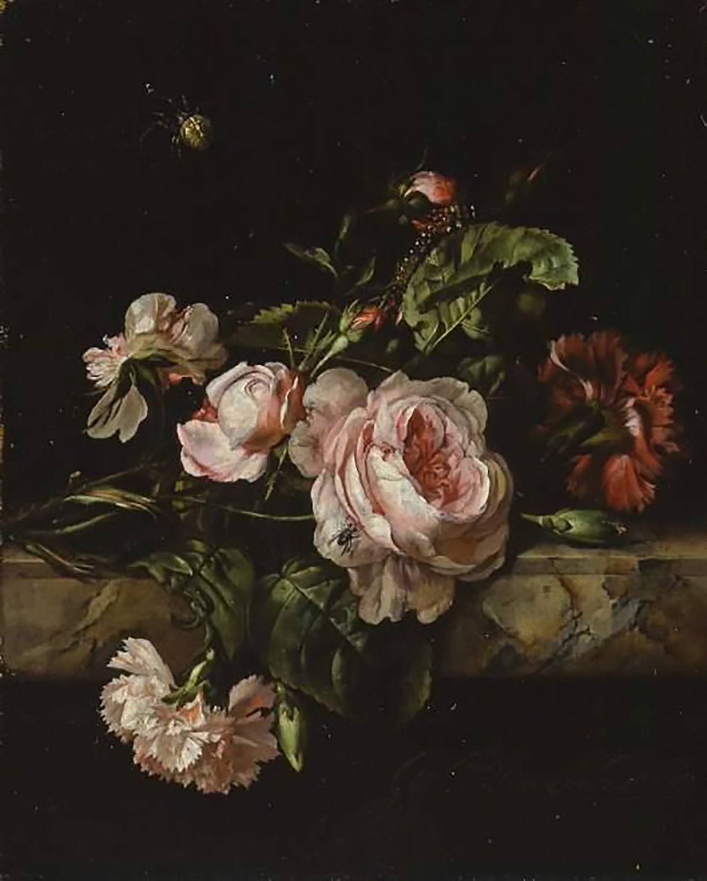 MOURNING ROSE